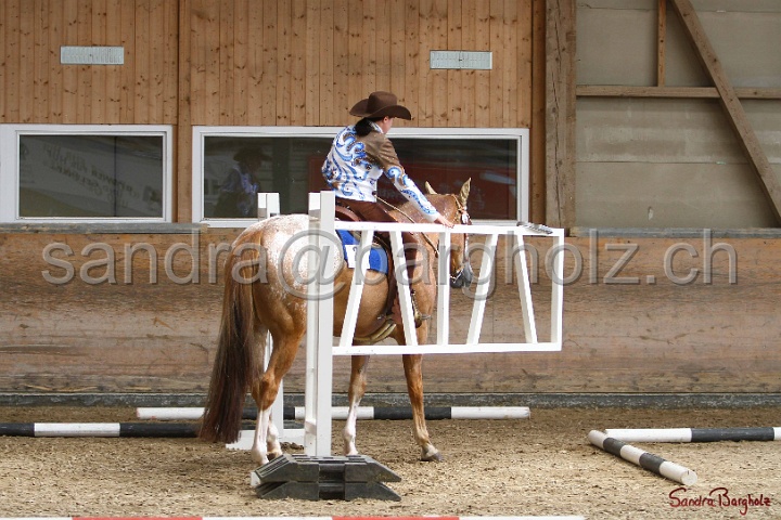 28-ApHC OT_002.jpg